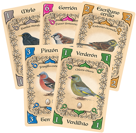 Pájaros cantores