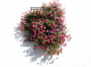 No se puede mostrar la imagen &ldquo;http://www.jugamostodos.org/images/stories/NoticiasJugamosTodos/2008/mayo%202008%20-%20rejasybalcones%20-%2001.jpg&rdquo; porque contiene errores.
